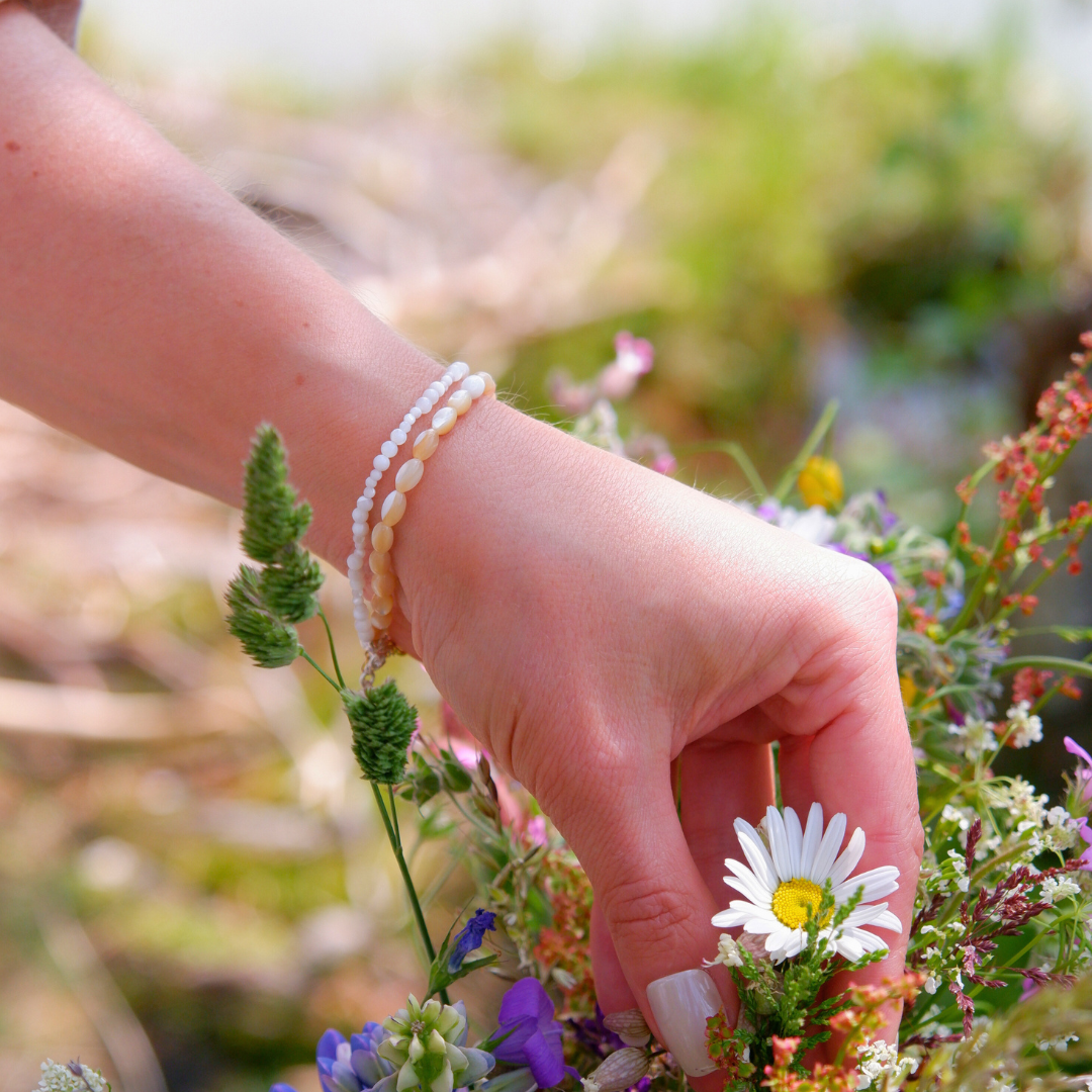 Hand holding a daisy with a blurred natural background