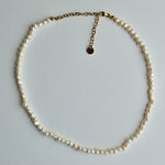 A single-strand pearl necklace with a gold chain extender and lobster clasp, laid flat on a light gray background.