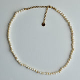 A single-strand pearl necklace with a gold chain extender and lobster clasp, laid flat on a light gray background.