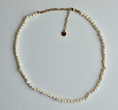 A single-strand pearl necklace with a gold chain extender and lobster clasp, laid flat on a light gray background.