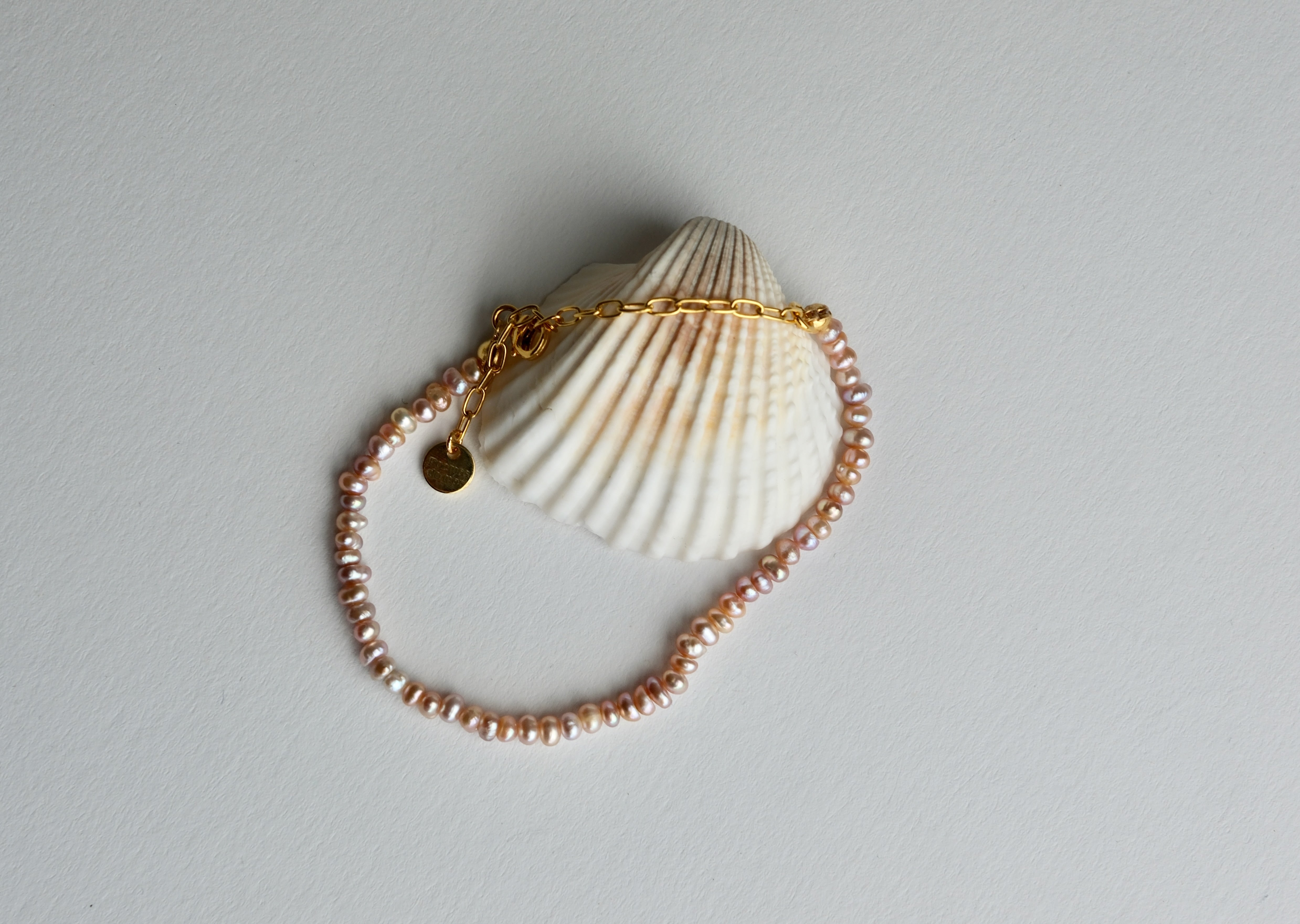 Rosa Dos Ventos Bracelet